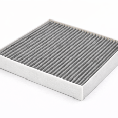 Polen Filtresi (Klima)