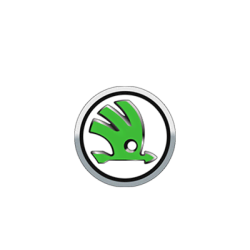 Fil Filtre Yağ filtresi ZP 3009 D