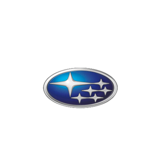 Fil Filtre Yakıt filtresi ZP 8060 FP